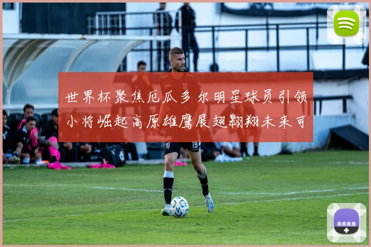 世界杯聚焦厄瓜多尔明星球员引领小将崛起高原雄鹰展翅翱翔未来可期