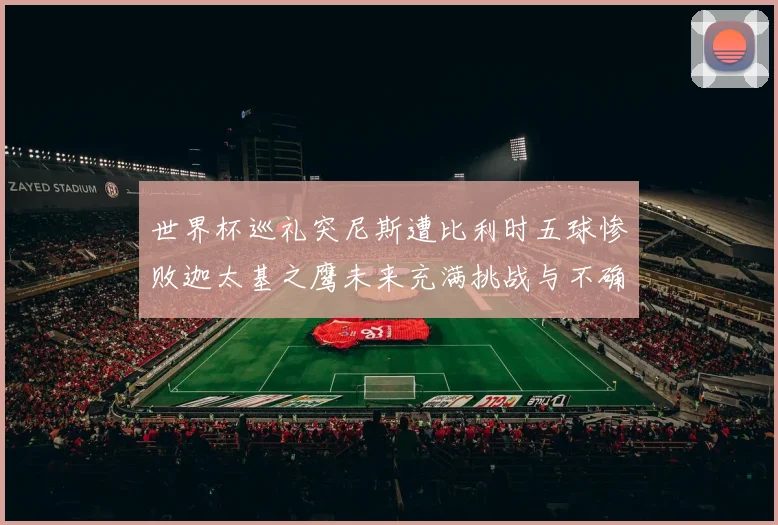 世界杯巡礼突尼斯遭比利时五球惨败迦太基之鹰未来充满挑战与不确定性
